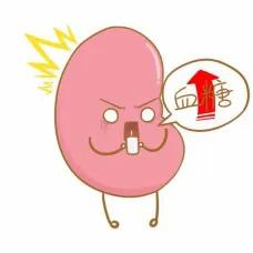 糖友泡沫尿,糖友尿中泡沫多是尿蛋白吗