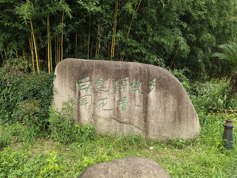 江苏天一度假村法拍,江苏天一度假村董事长