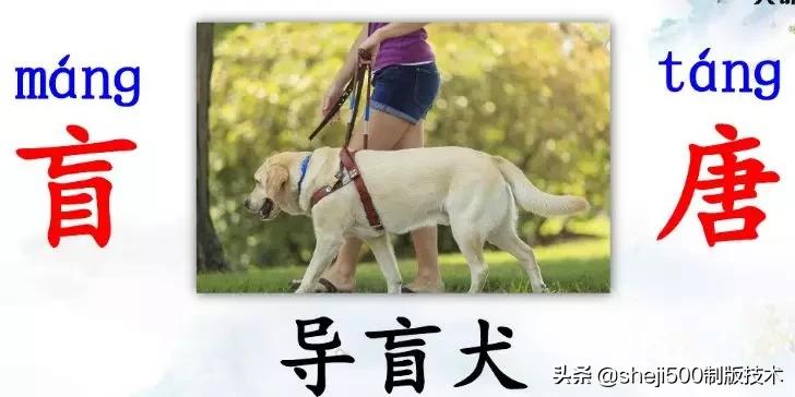 部编版三年级上册语文课后习题,统编版语文课后题