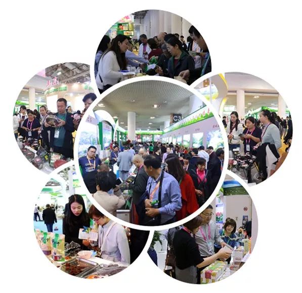 凤凰会展中国茶叶博览会,凤凰会展怎么样