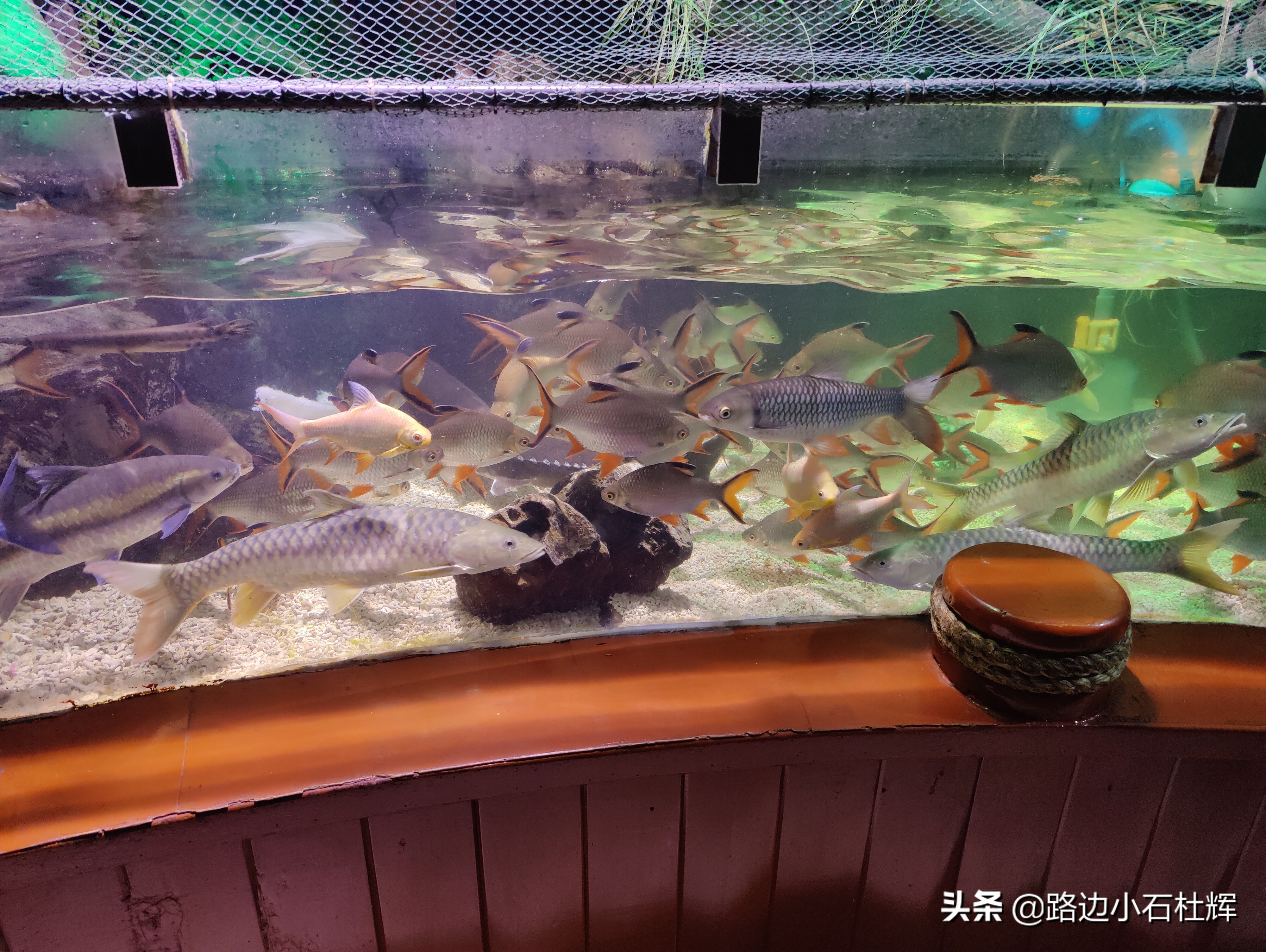 北京海洋馆游玩一览表,北京太平洋海洋馆海底世界