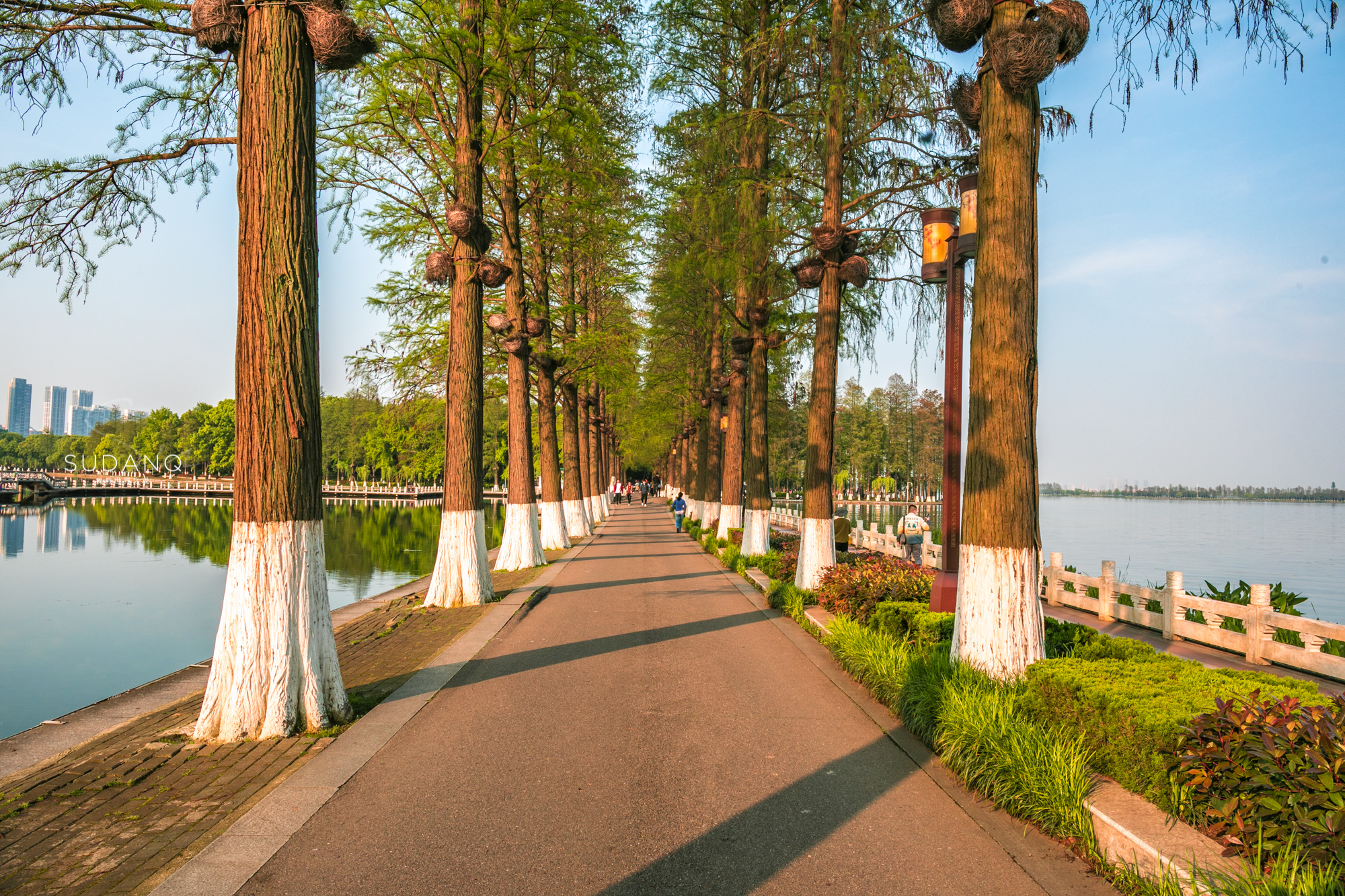 武汉，堪称“世界上最不缺水的城市”，东湖之美更羡煞旁人