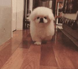 戴上了金箍就要放下七情六欲,今日萌图