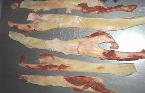 牛杂加工处理方法,地摊牛杂处理做法