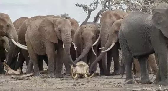 年度最佳女主角范冰冰,颜值与演技力压范冰冰