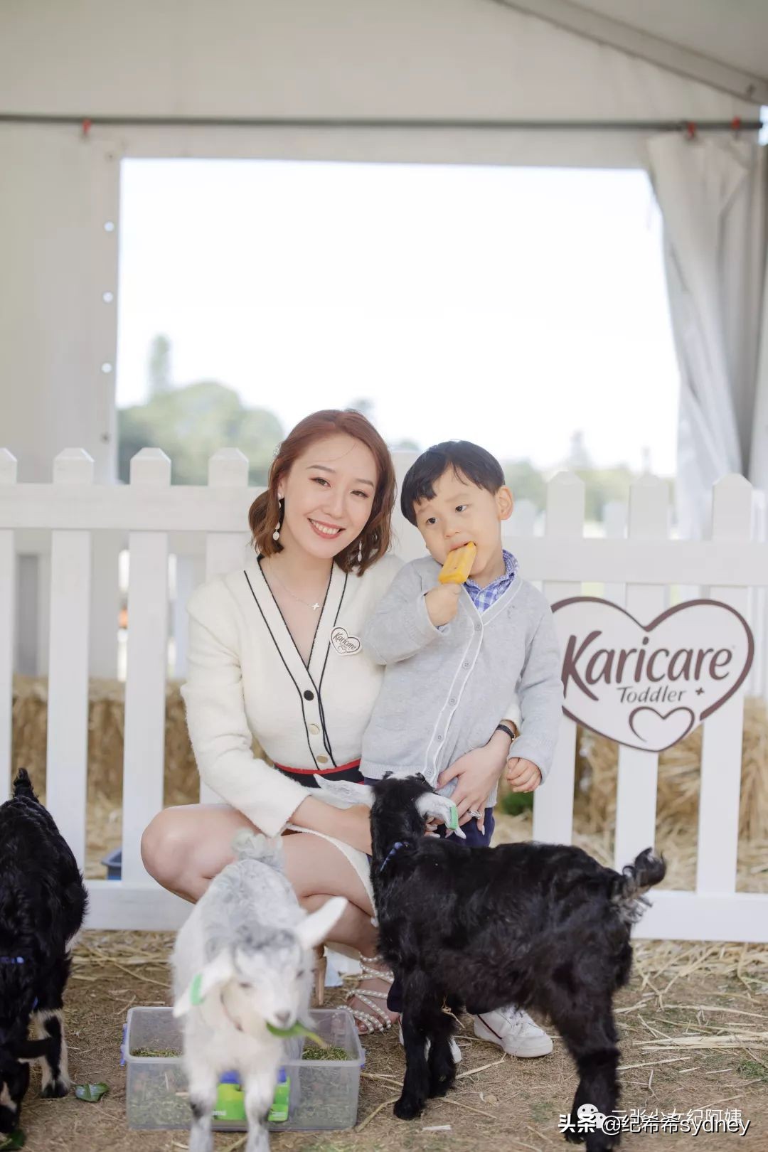 澳洲原装进口奶粉可瑞康,澳洲可瑞康奶粉新包装