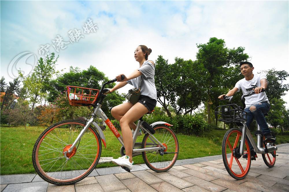 一条河记载了时光的变迁与沧桑,从一条河开始的无限进化免费阅读