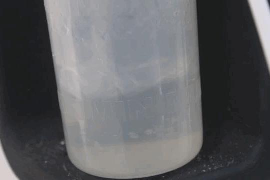 卡布：来自一只三个月大的边境牧羊犬，一封遗留在人间的草稿