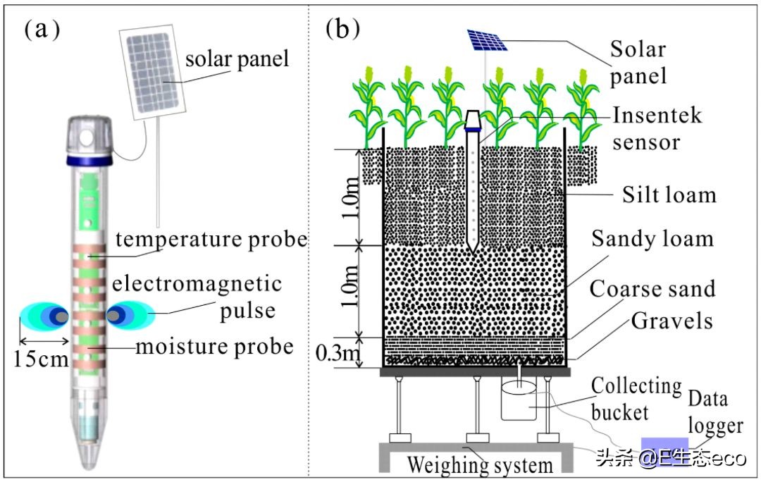 《Water》最新中国高水平论文：一种新型测算玉米日耗水量的方法