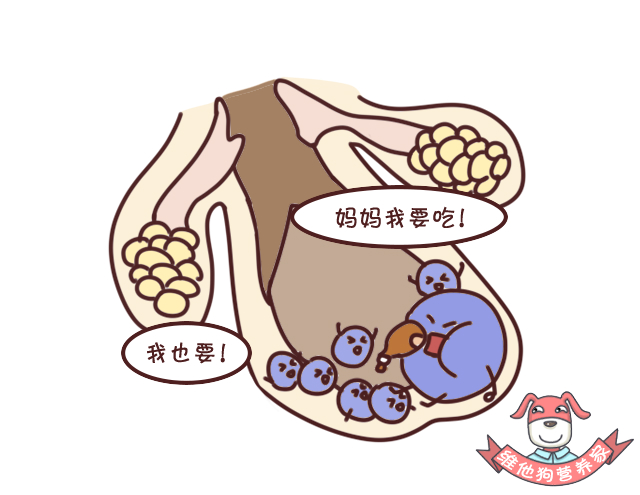 战痘十年了怎么治好的,战痘多年没有效如何正确祛痘