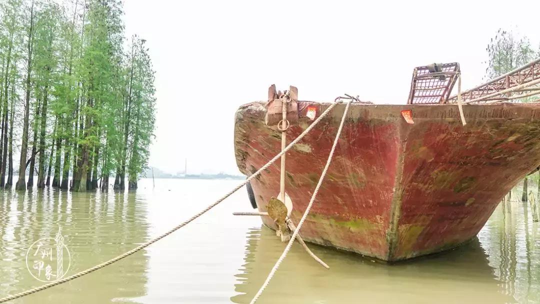 广州隐世峡谷游玩攻略,广州要坐船才能登的小岛