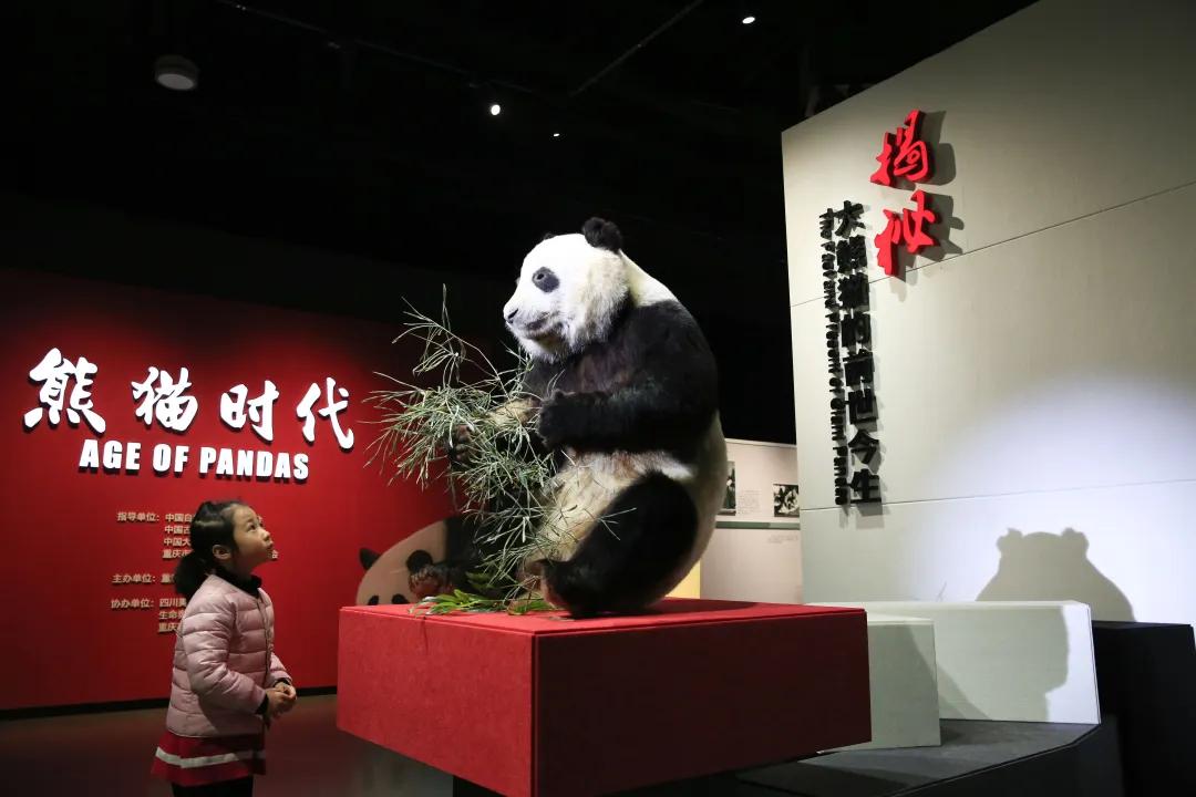 轨道游重庆,跟着轻轨游重庆