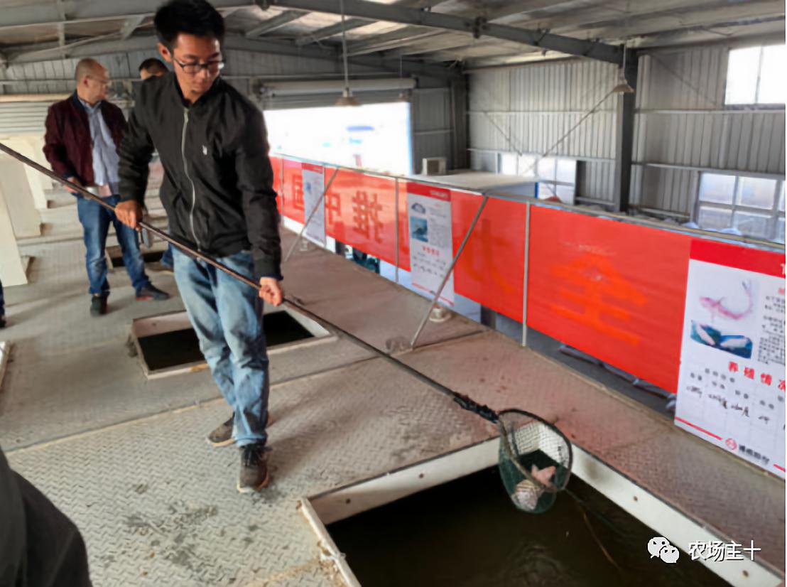 大型农场建造,家庭农场可以放置集装箱做民宿