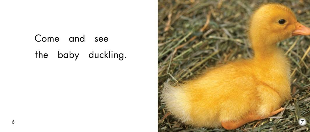 儿童绘本小动物睡前故事,动物宝宝有声绘本推荐0-3岁读绘本