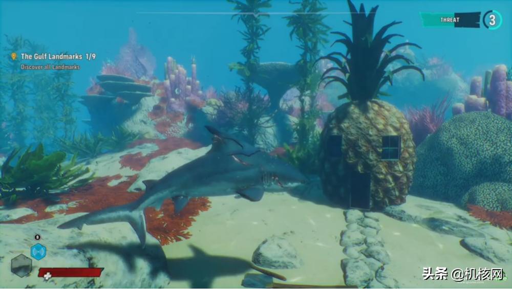 食人鲨从哪里买的,食人鲨值得买吗