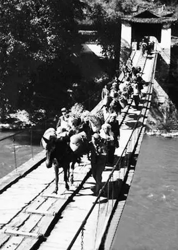 普洱七子饼是红茶系列吗,普洱茶饼叫七子饼