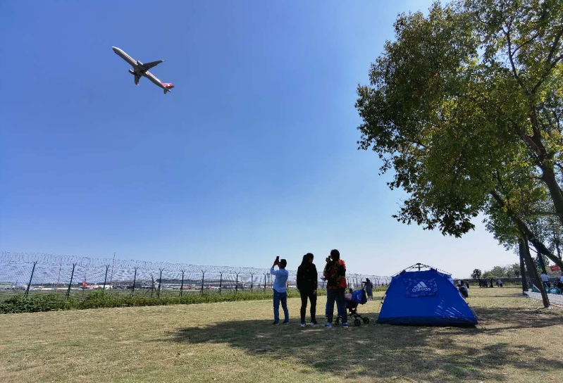 双流空港花田看飞机降落最佳地点,双流空港花田最佳位置看飞机