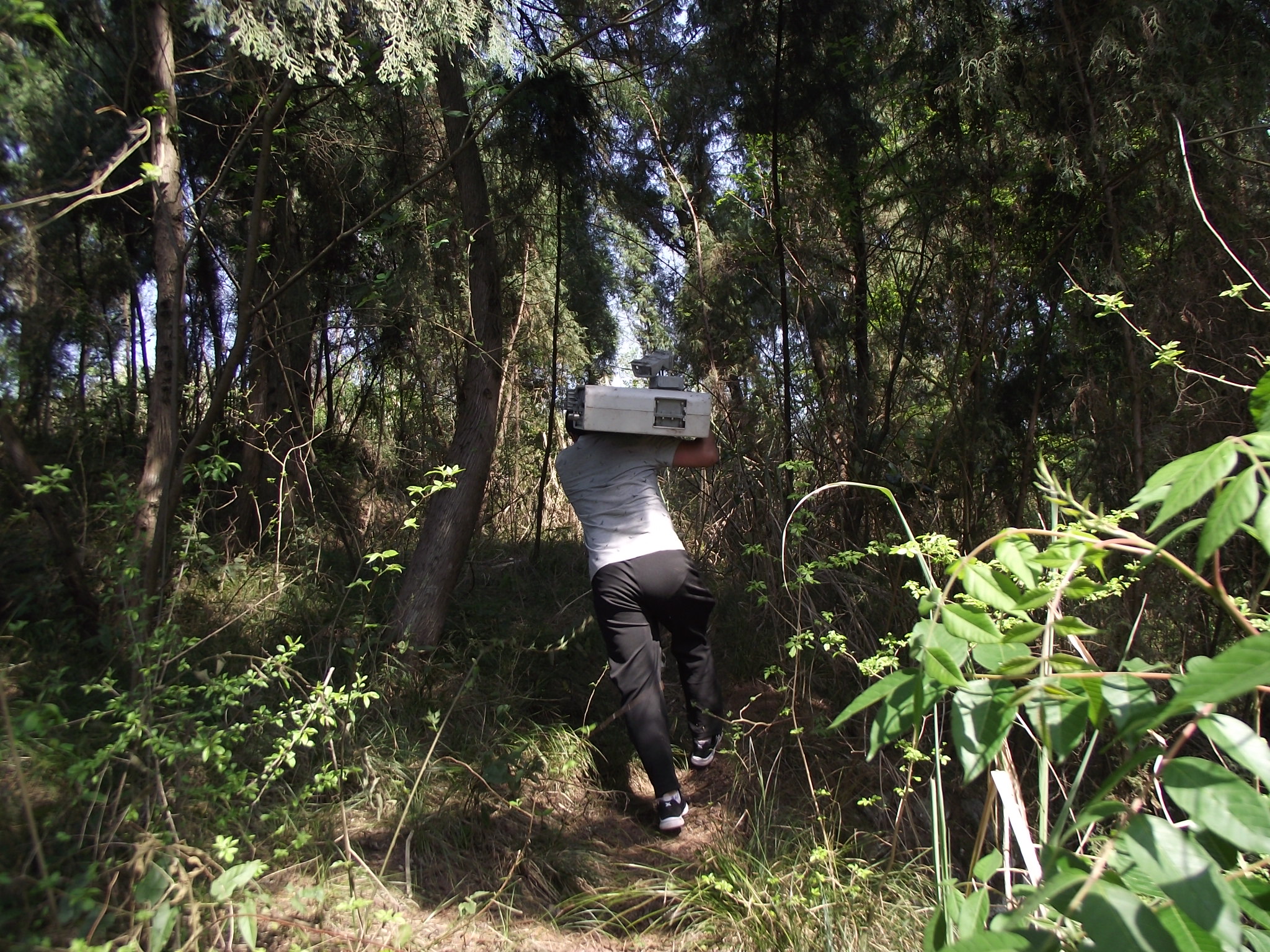 基站维护员学徒,辛苦的后勤维修工