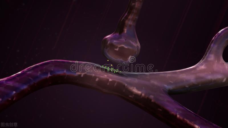 带你了解癌症,讲解心脏的科普书籍