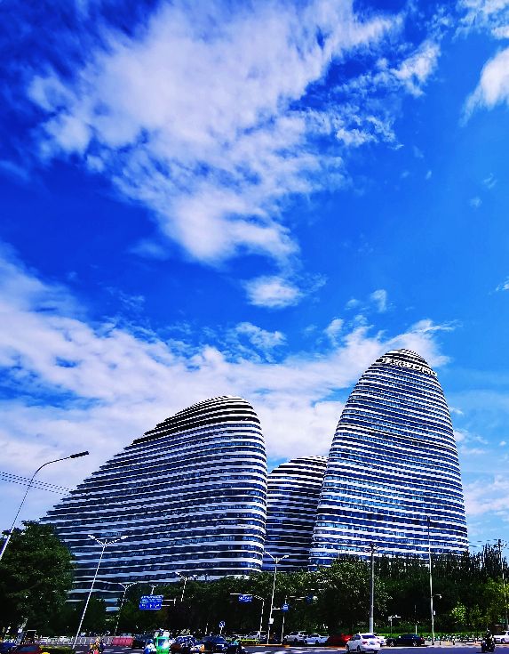 鍖椾含绉樺,鍖椾含绉樺涔嬫梾