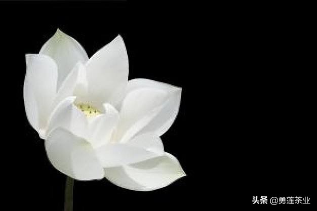 古今贤文劝学篇朗读,古今贤文增广贤文全文解读