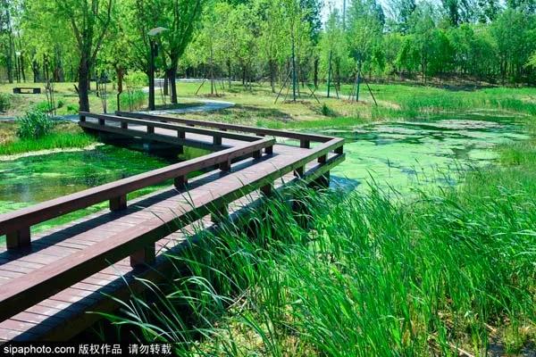北京夏天傍晚值得去的地方,八月份北京适合旅游的地方推荐