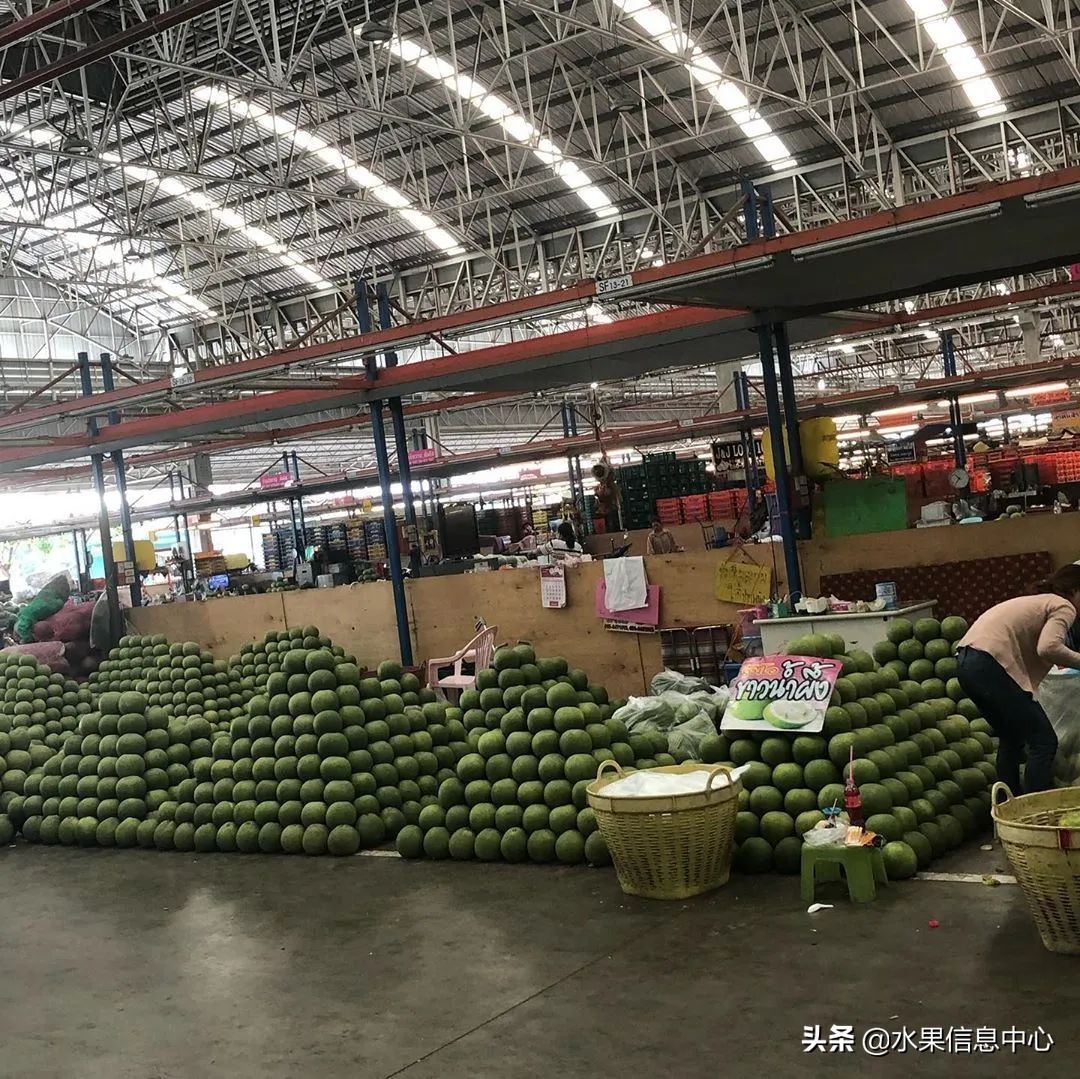 西双版纳水果市场榴莲 (上海亚洲最大的水果批发市场榴莲)