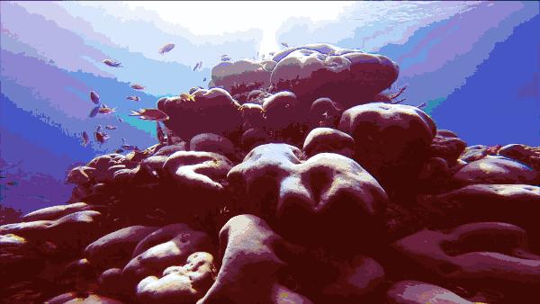 北京老牌水族馆富国海底世界，49.9元1大1小探险蓝色海洋的秘密