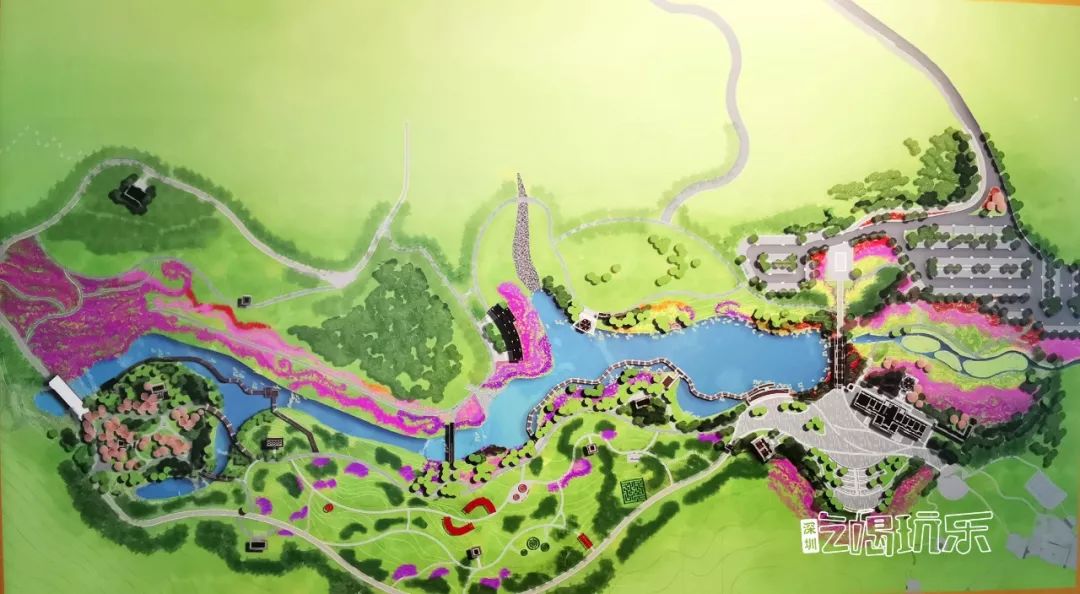 深圳最美簕杜鹃谷公园花海,宝安区花海赏花景点