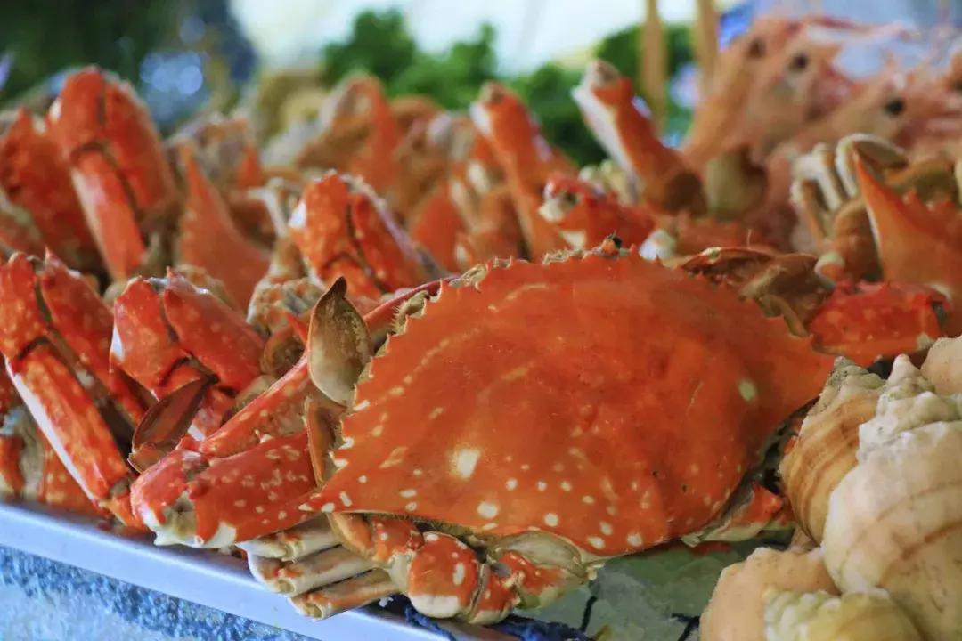 北京方恒假日酒店海鲜烧烤自助,北京方恒假日酒店住宿团购