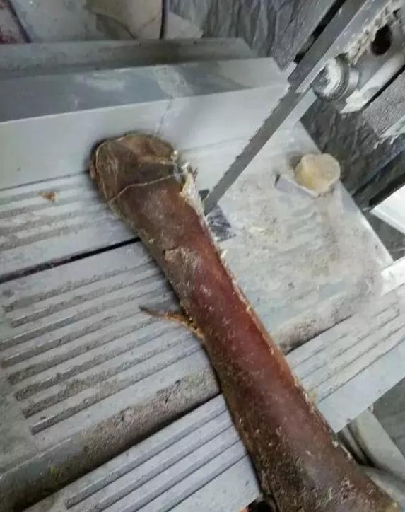 马骨手串圆珠,马骨手串价格及图片