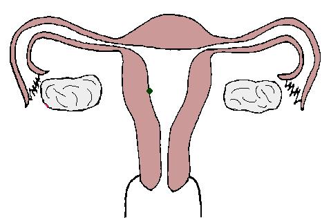 南昌华儿山生殖医院正规吗,南昌华山输卵管造影术价格