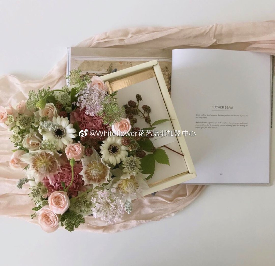 whiteflower闂ㄥ簵,whiteflower