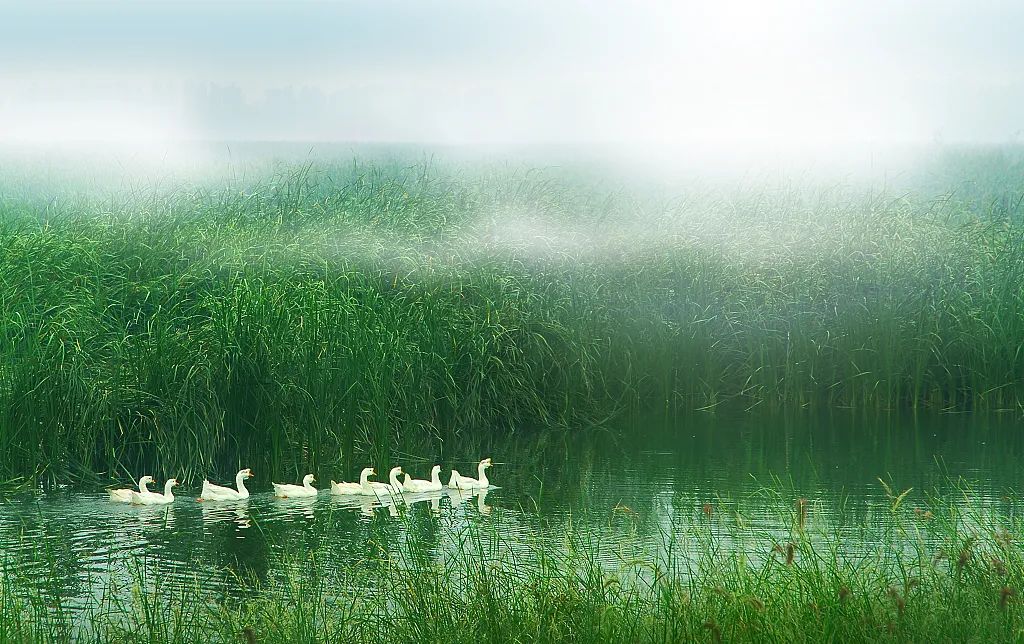 我永远臣服于温柔出处,我永远臣服于温柔
