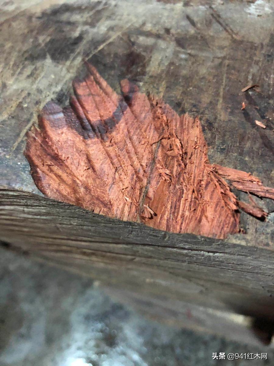 低调奢华黑红木,红酸枝巴里黄檀和微凹黄檀哪个好