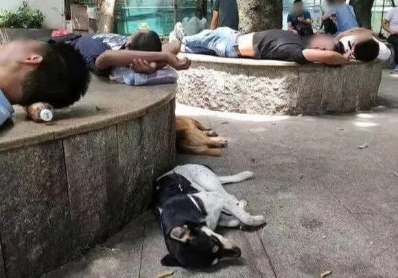 深圳三和谁最有钱,深圳最富的三和