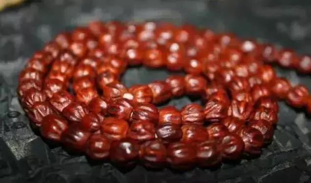 最全的菩提子图解太美了,最好的菩提子