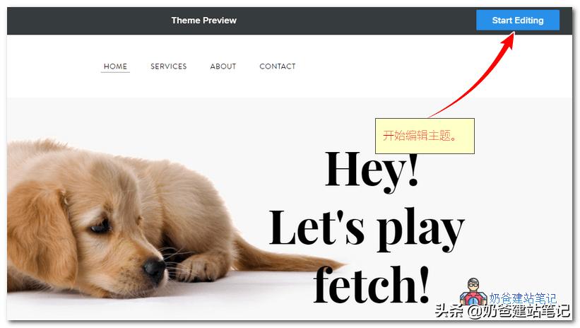 怎么入驻whlee跨境电商平台,跨境电商独立站选品视频教程