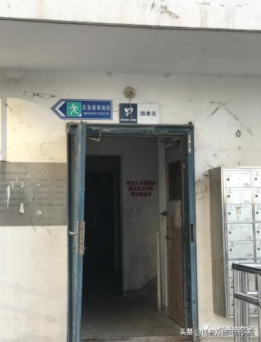 给大家介绍宠物托运的全过程,找托运宠物公司托运宠物注意什么