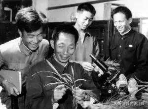 你不知道的袁隆平：浪里白条、预备飞行员、油炸鬼、臭水沟捞宝贝