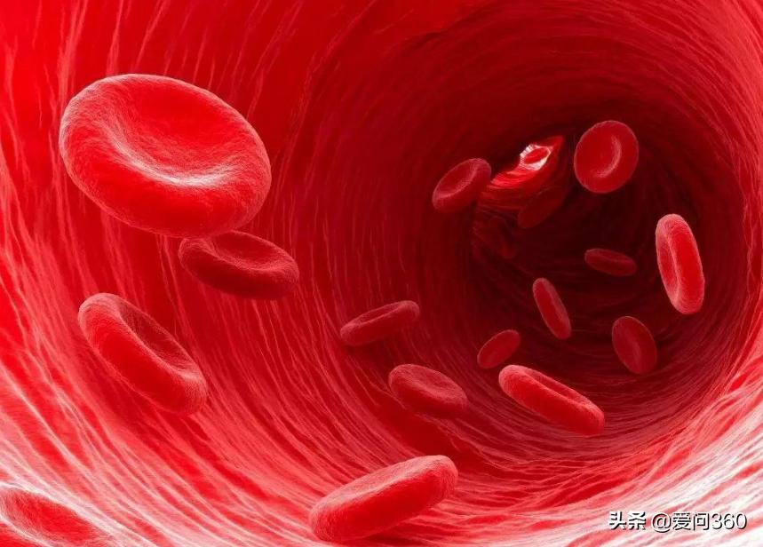 血管没有弹性什么原因该怎么治,血管失去弹性与血虚有关吗
