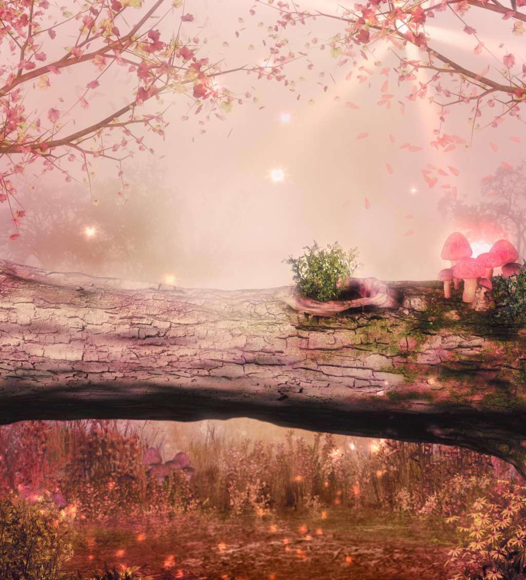 一看书名就想入坑的3本小说推荐,书荒必看30本超级经典小说