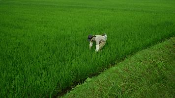 适合过年宅家看的治愈系电影推荐,关于过年的治愈系老影视剧