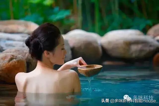 日本最有名气的民宿,日本最出名的温泉度假村