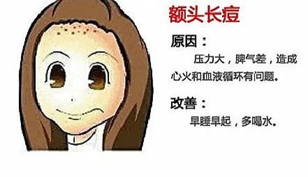 脸上老是长痘怎样内调,脸上老是长痘怎么办小妙招