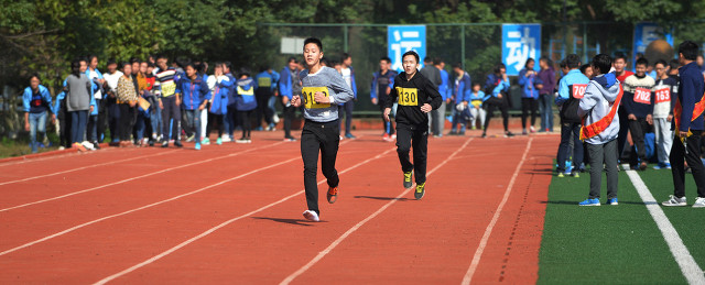 于无声处的呐喊：——“亲亲我、陪陪我、抱抱我、夸夸我