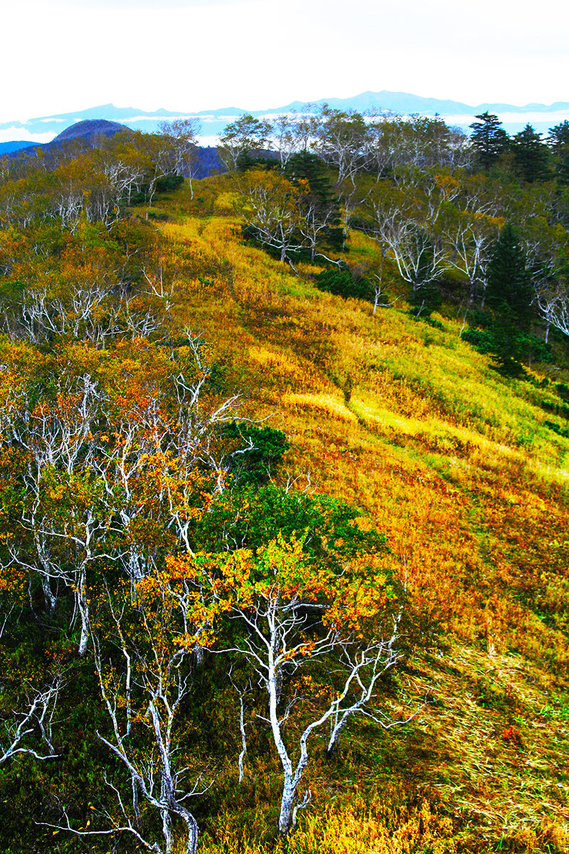 东北地区海拔最高的几座山峰,东北十大最高的山