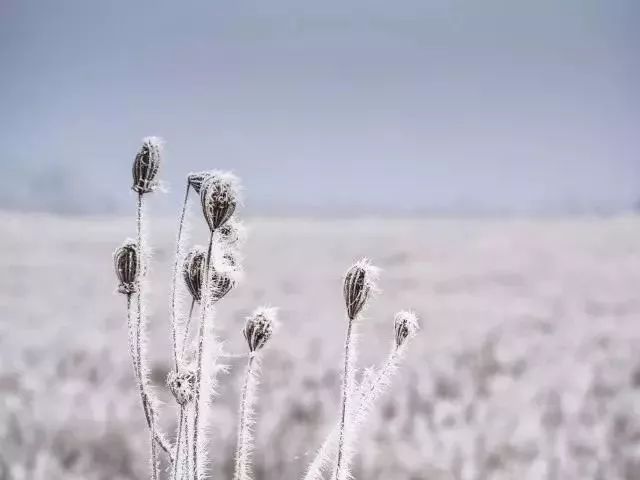 唐诗宋词元曲三百首珍藏版,唐诗宋词鉴赏珍藏版