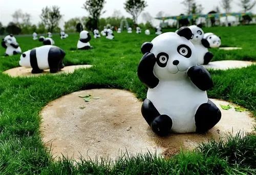 华酝牡丹园紫藤花,华酝牡丹园格桑花