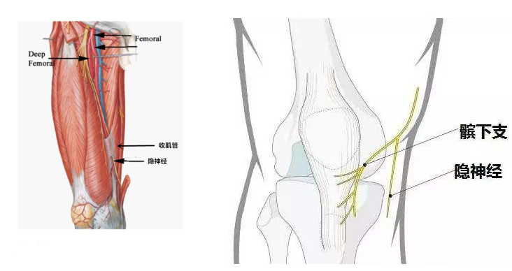 一条腿膝盖疼是关节炎吗,膝盖有一种奇怪的感觉但不是痛